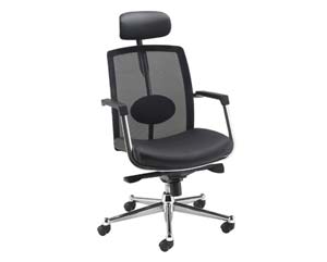 Unbranded Andromeda high back mesh chair headrest