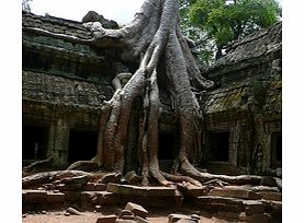 Unbranded Angkor Adventure - Small Group Tour - Child