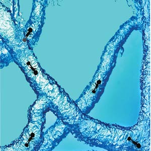 Antworks NASA Space-Age Ant Colony and Habitat