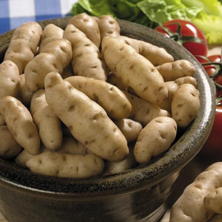 Unbranded Anya Potatoes (3 kg) 3 kg