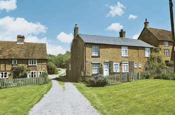 Unbranded Appletrees