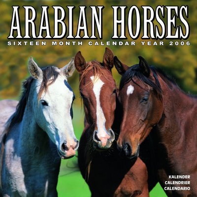Arabian Horses 2006 calendar
