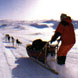 Arctic Ice Safari for Groups