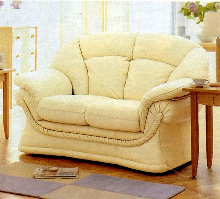 Arden 2 seater sofa