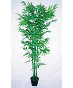 Unbranded Artificial Bamboo Tree