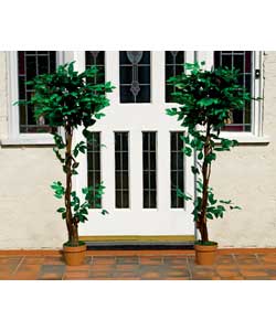 Unbranded Artificial Banyan Tree 160cm - Twin Pack