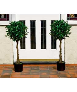 Unbranded Artificial Bay Tree 91cm - Twin Pack