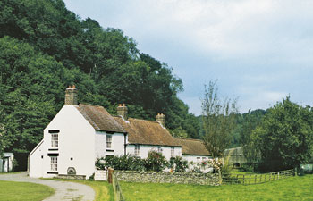 Unbranded Ashberry Cottage