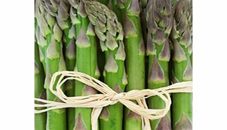 Unbranded Asparagus Crowns - Mondeo