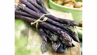 Unbranded Asparagus Crowns - Pacific Purple