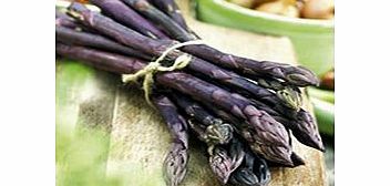 Unbranded Asparagus Crowns - Purple Pacific