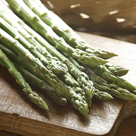 Unbranded Asparagus Crowns Guelph Millenium Pack of 12
