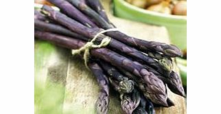 Unbranded Asparagus Plant - Stewarts Purple