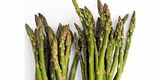 Unbranded Asparagus Plants - F1 Ariane