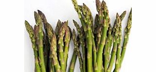 Unbranded Asparagus Seeds - Ariane F1