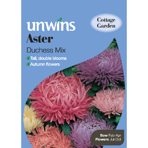 Unbranded Aster Duchess Mix Seeds