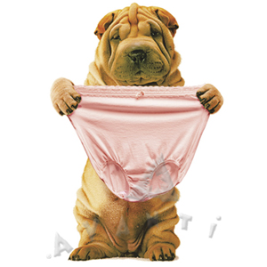 Unbranded At Our Age Thongs Are Not An Option Birthday Card