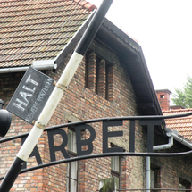 Unbranded Auschwitz-Birkenau Memorial and Museum Tour -