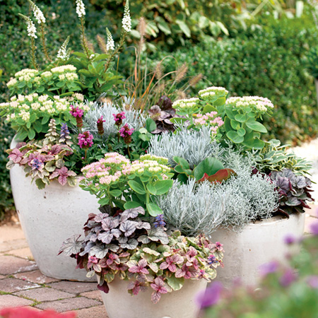 Unbranded Autumn Container Collection Pack of 6 Potted