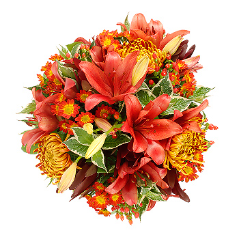 Unbranded Autumn Golds - flowers