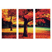 Unbranded Autumn Leaves Canvas Set Of 3 60x90cm