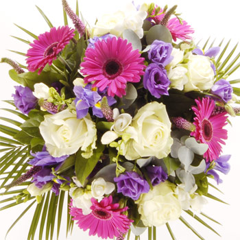 Unbranded Autumn Nights - flowers