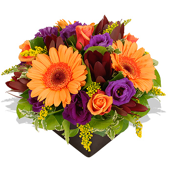 Unbranded Autumn Sky - flowers