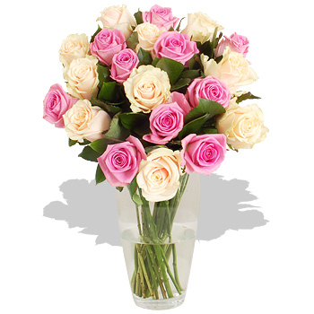 Unbranded Avalanche Roses - flowers