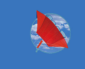 Unbranded Awesome Giant Pocket Kite