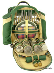 Unbranded Azur Green Picnic Backpack-4 Person