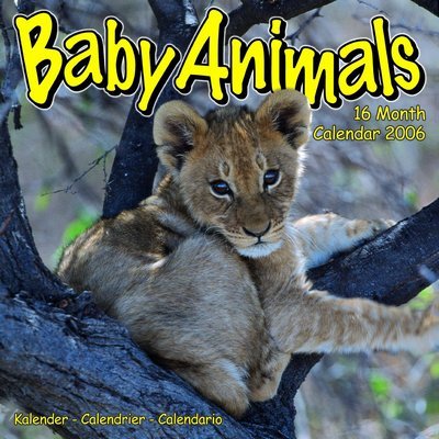 Baby Animals Calendar