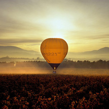 Enjoy a memorable balloon flight over one of Australia's premier wine growing regions.