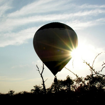 Unbranded Balloons Over Africa - Adult