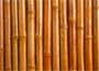 Bamboo screen
