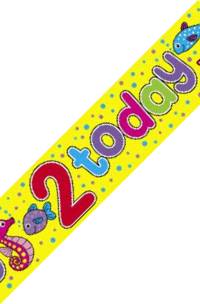 Banner - 2 Today 9ft