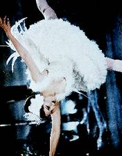 Barbra Streisand photo