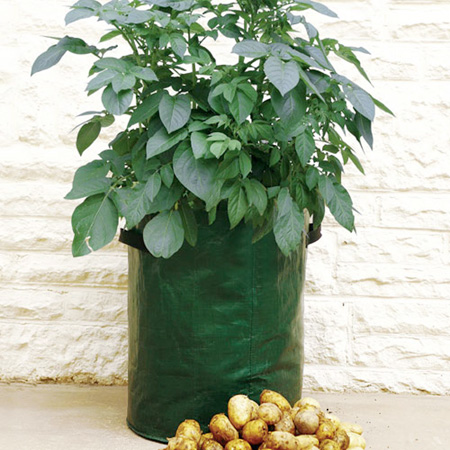Unbranded Bargain Patio Potato Growing Kit 3 Planters and