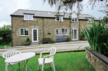 Unbranded Barnestock