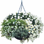Unbranded Basket and Patio - White As Snow Collection