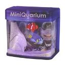 Battery Powered Mini Quarium