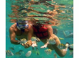 Unbranded Bavaro Splash-Snuba - Single Adult