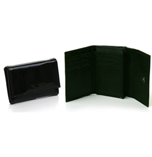 Patent leather, medium-sized purse with flap over closure. The Bdela purse has a magnetic clasp fast