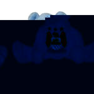 Unbranded Beanie Bear Man City