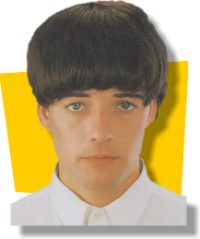 Beatles Wig (Brown)