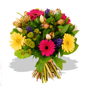 Unbranded Beautiful Dream - flowers