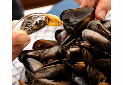 Unbranded Beautiful Pair of Silver Plated Mussel Eaters
