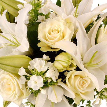 Unbranded Beautiful with FREE Bulbs - flowers