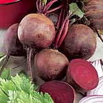 Unbranded Beetroot Boltardy Seeds - Triplepack