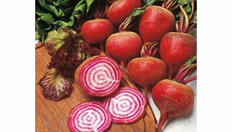 Unbranded Beetroot Chioggia Pink Seeds