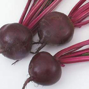 Unbranded Beetroot Kestrel F1 Hybrid